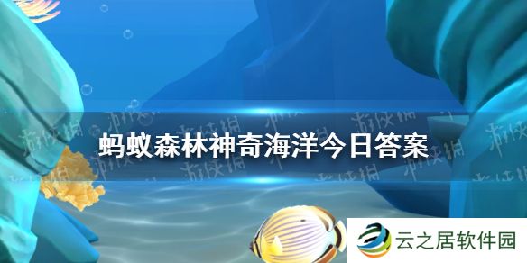 金钱鱼之所以得名是因为 神奇海洋12月26日答案最新
